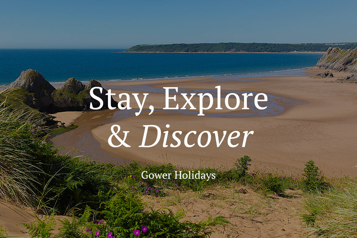 Gower Holidays